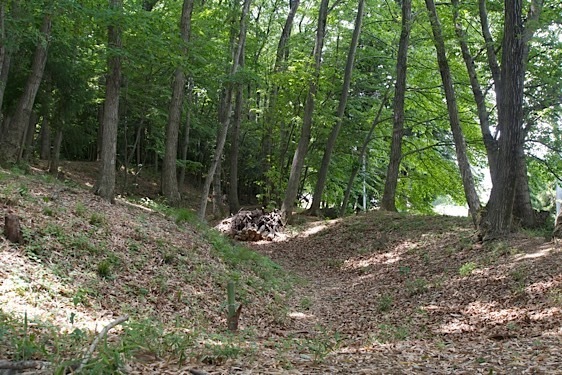 File:Imai6.jpg