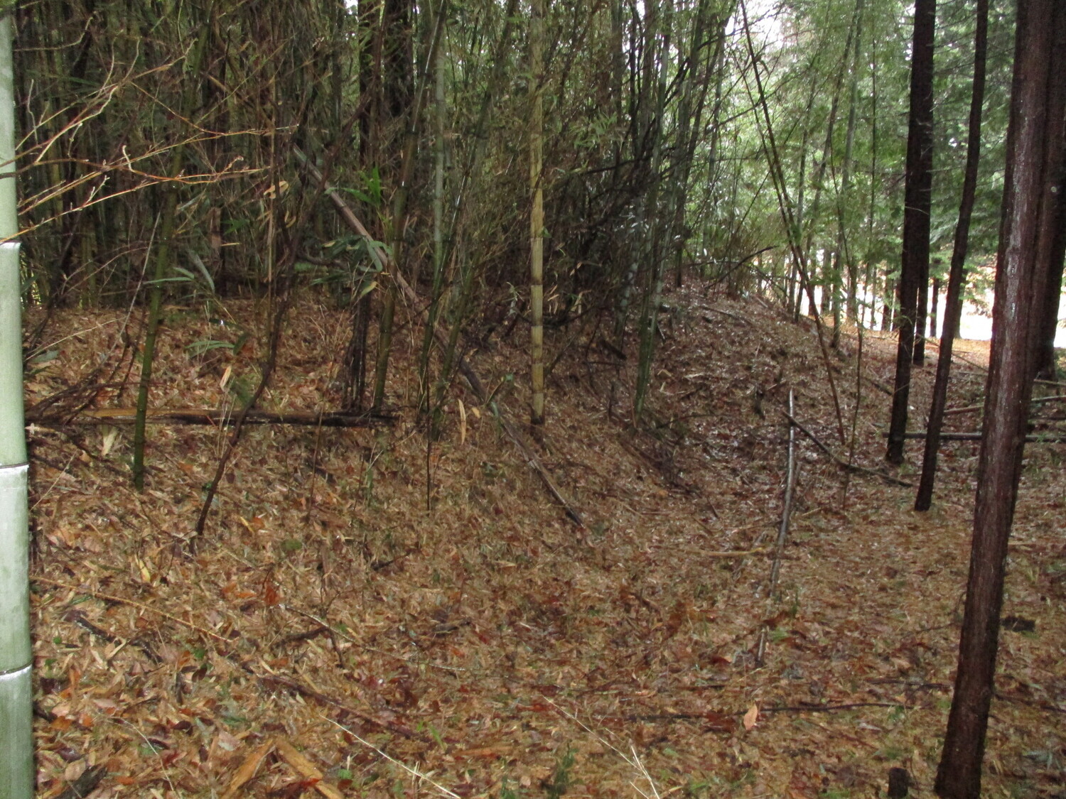 KaiOhbayashiYashiki (2).JPG