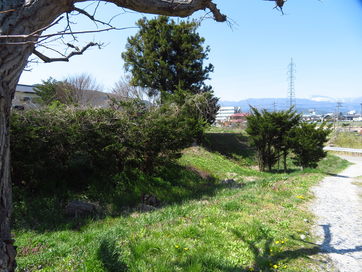 ChikumaTakasujou (11).JPG