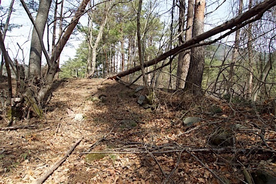 File:Kuma11.jpg