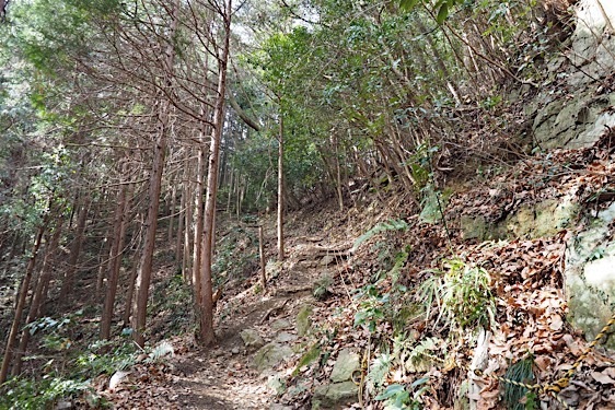 File:Tokura3.jpg