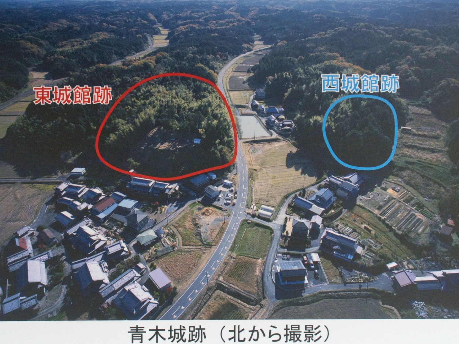 Aokikokaphoto.jpg