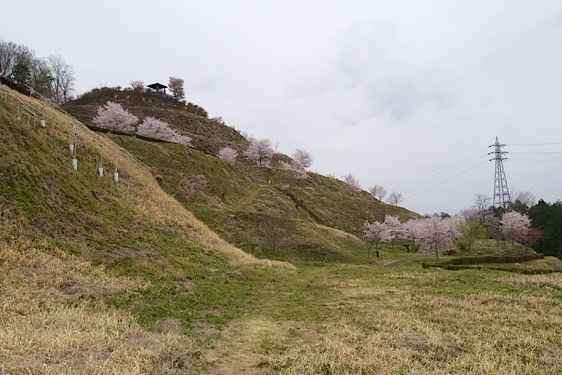 Minagawa9.jpg