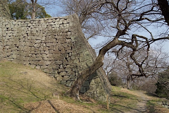 File:Marugame50.jpg