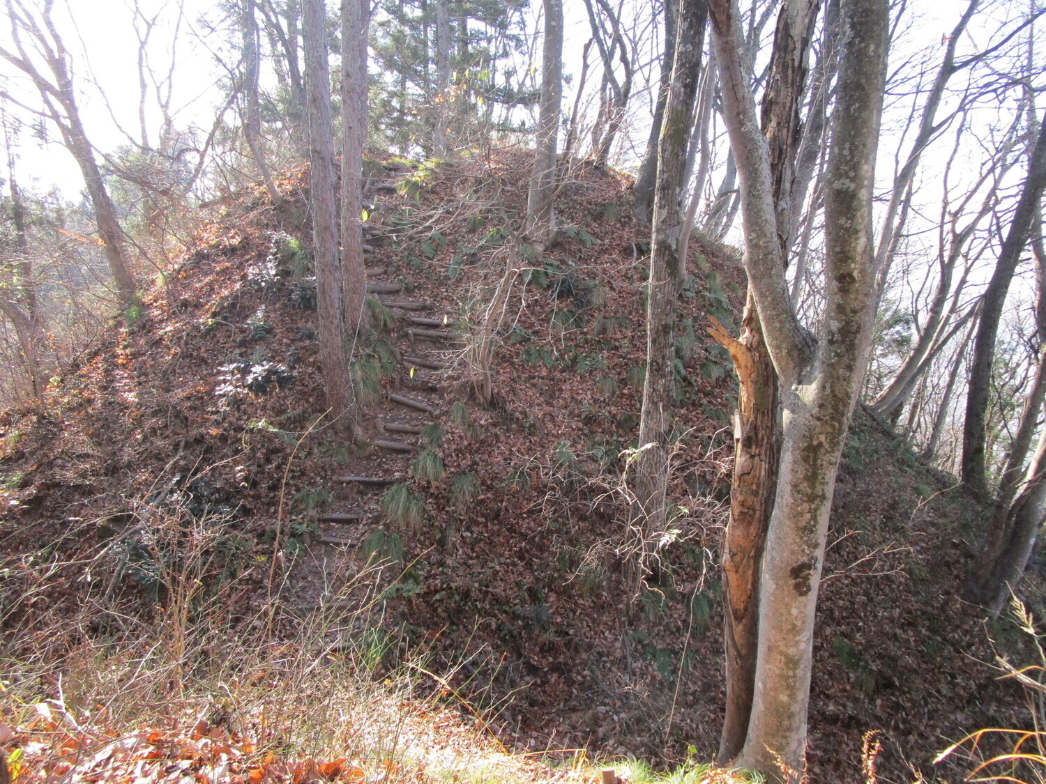 鴨ヶ嶽城 01.1.JPG