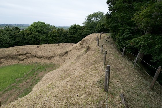 File:Kokokuji16.jpg
