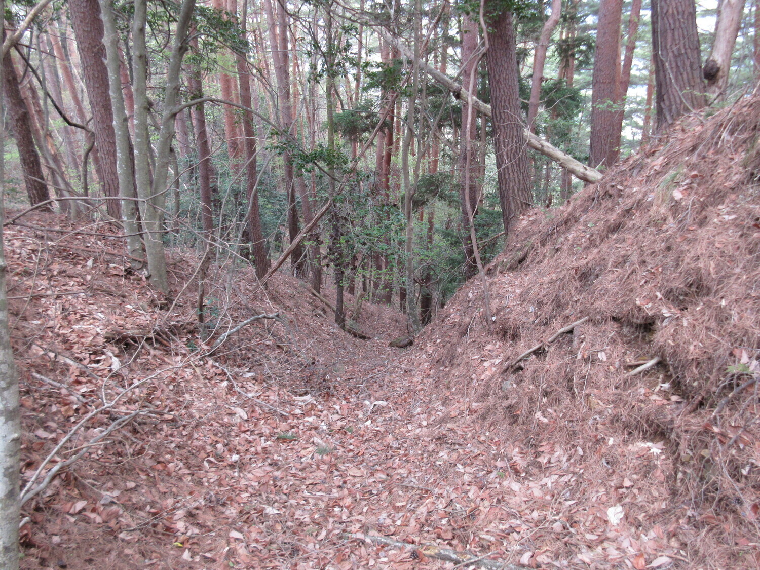 MarikoyamaToride (1).JPG