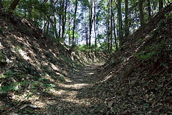 File:Obata5.jpg