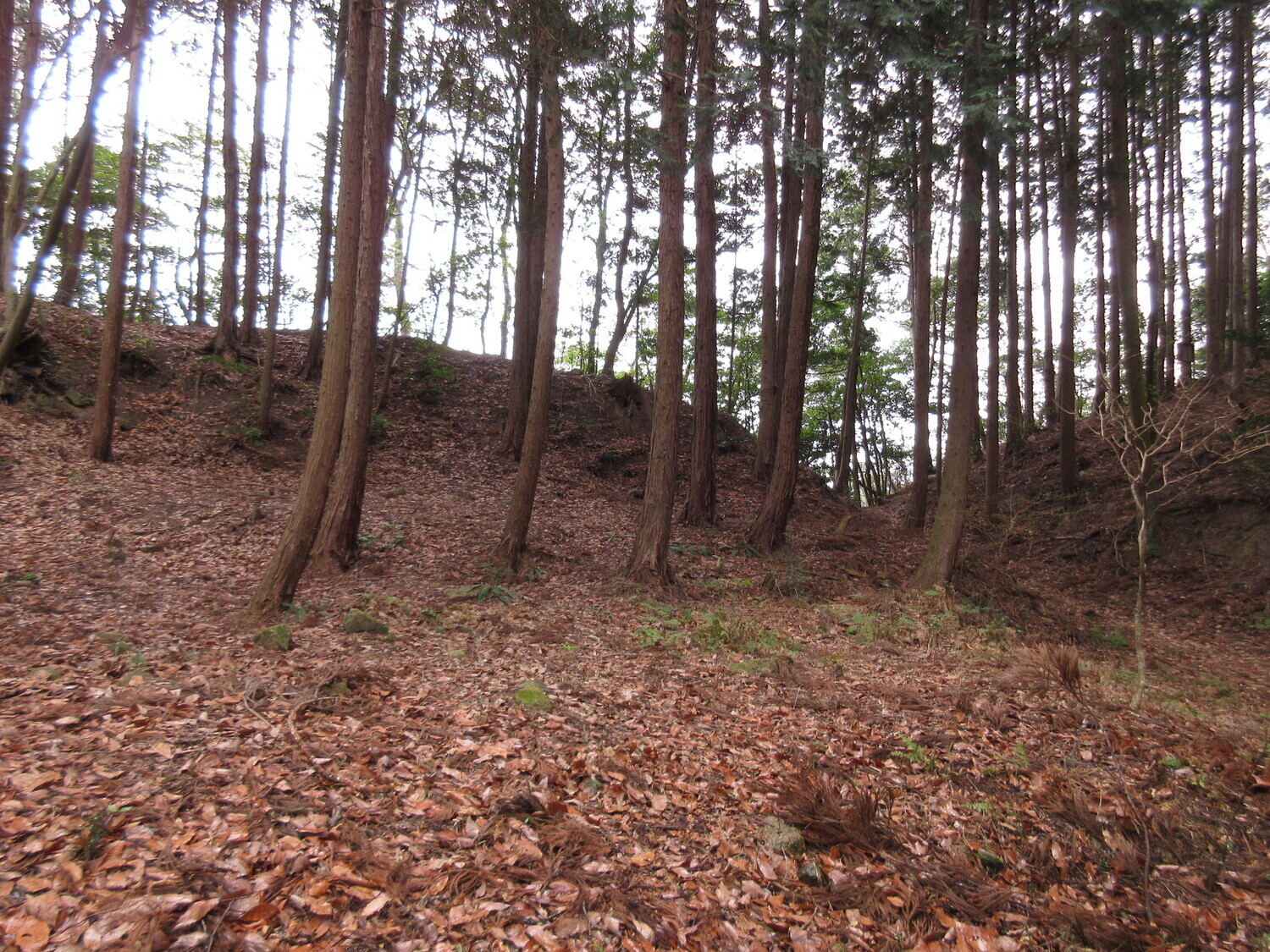 YasuIwakurajou (2).JPG