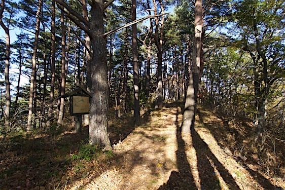 File:Aoyagi19.jpg