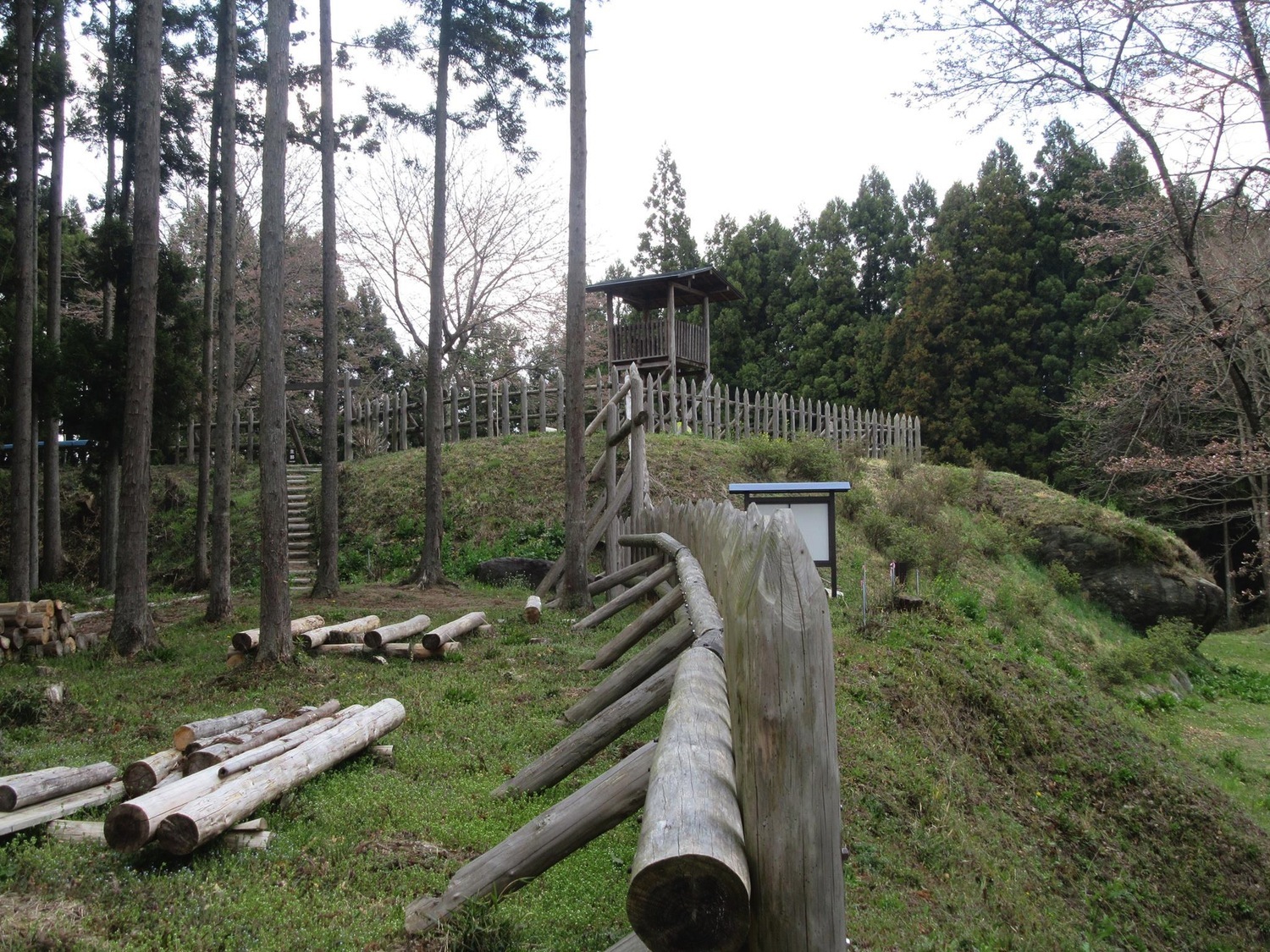 Fujita1.jpg