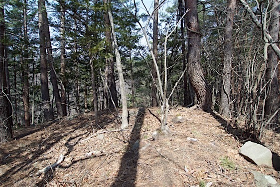 File:Kuma6.jpg