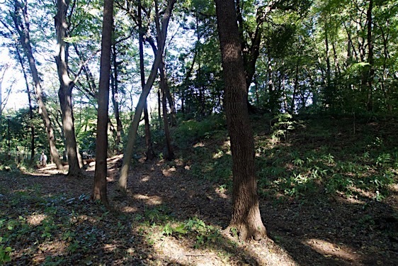 File:Shakujii7.jpg
