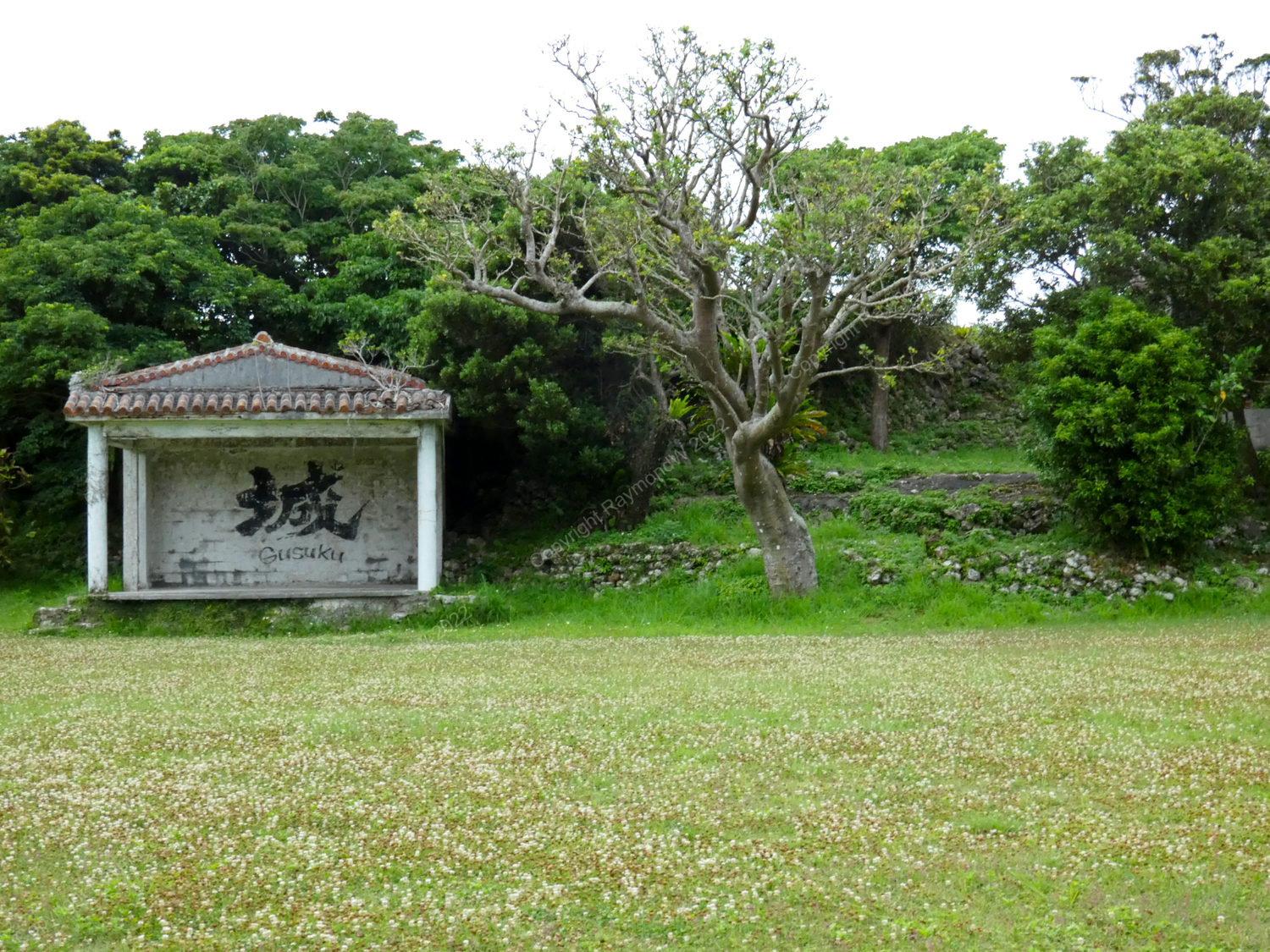 Shimashi-Ozato Castle Ray 1.jpg