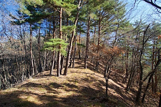 File:Washio29.jpg