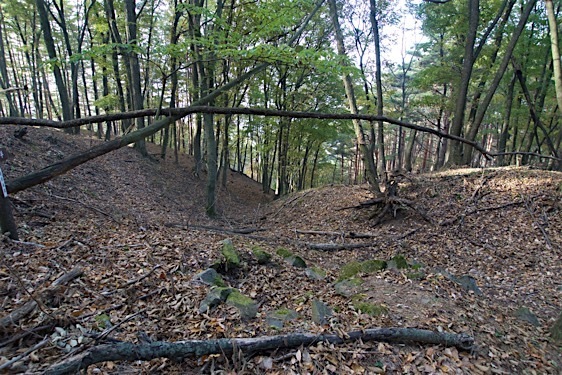 File:Haibara18.jpg