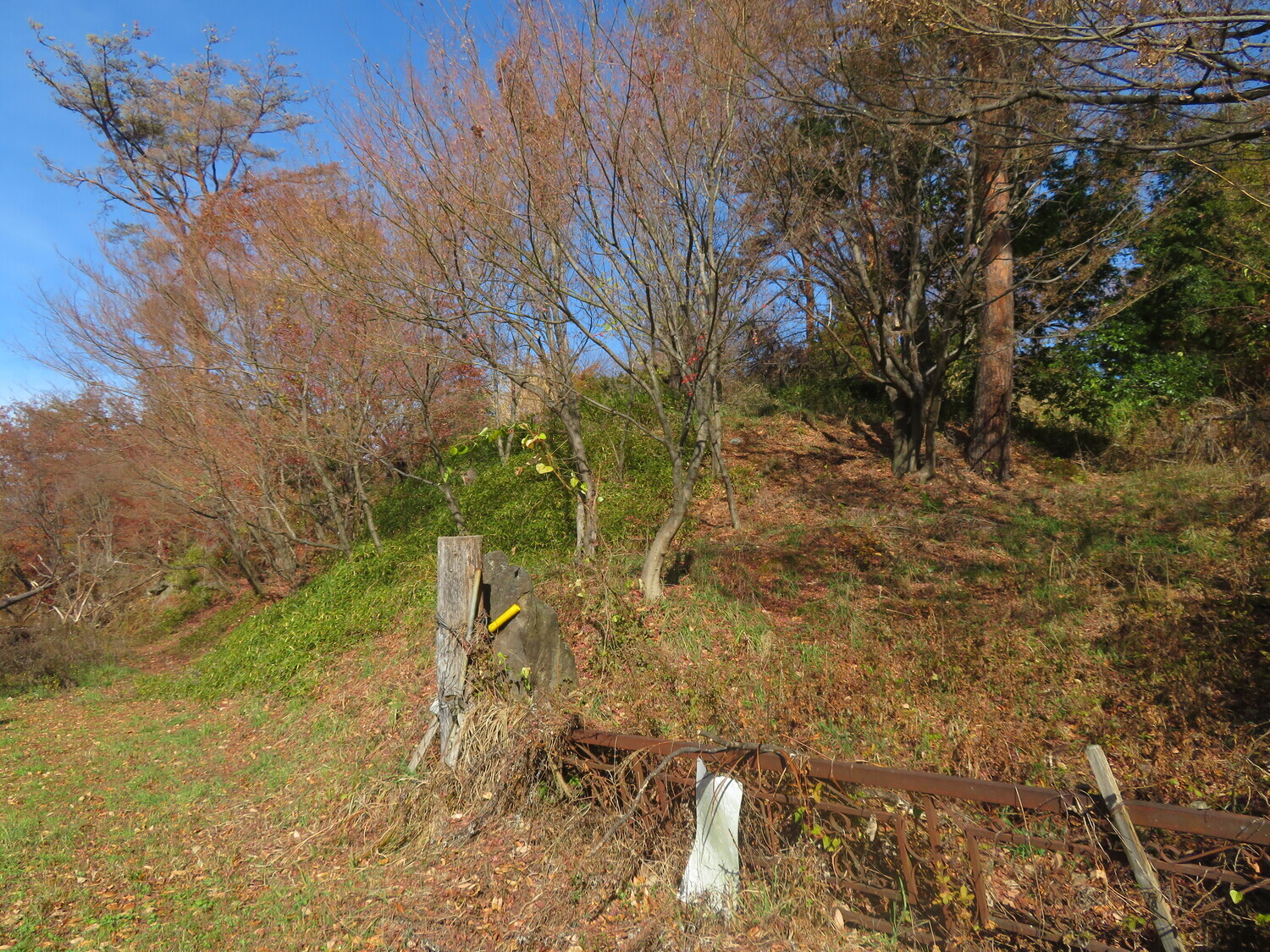 ShinanoChausuyamajou (1).JPG