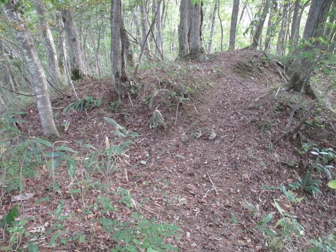 YakyuuToride (1).jpg