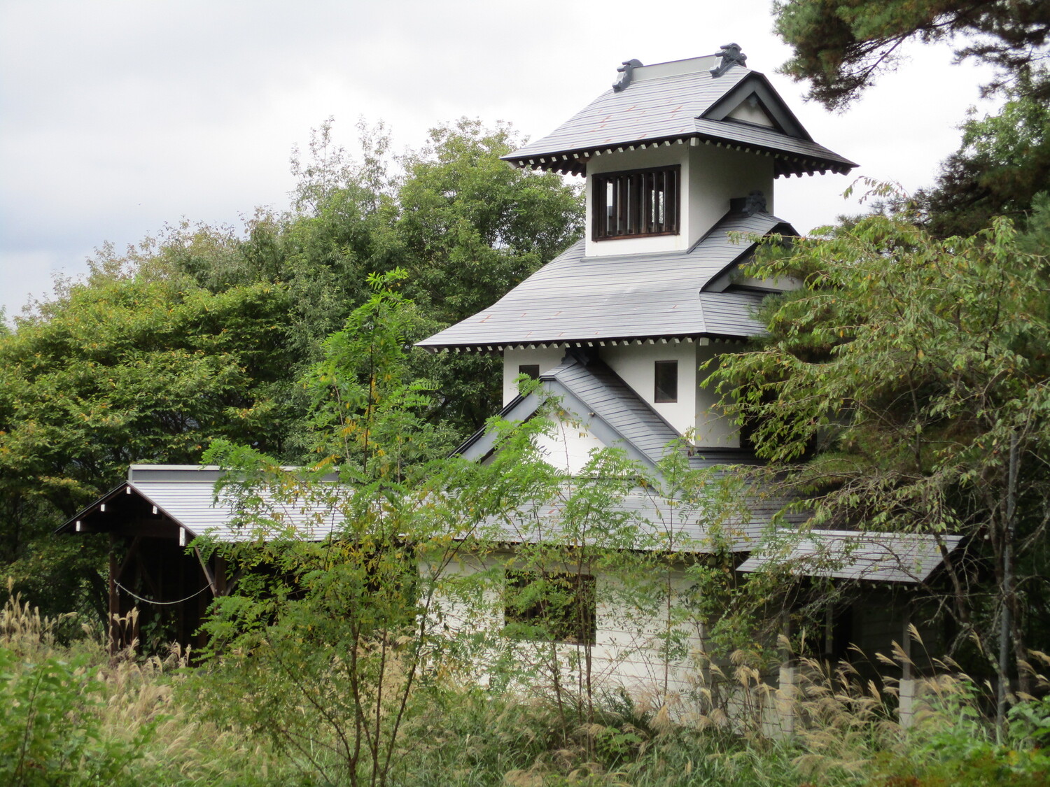 Kinasafurujou01.JPG