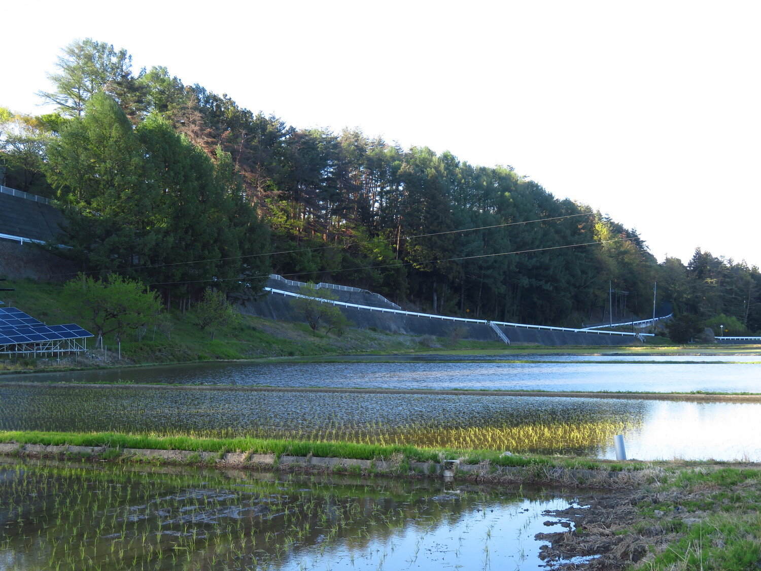 SeirinToride (1).JPG