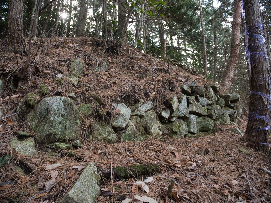 Tsubokasayama25.jpg