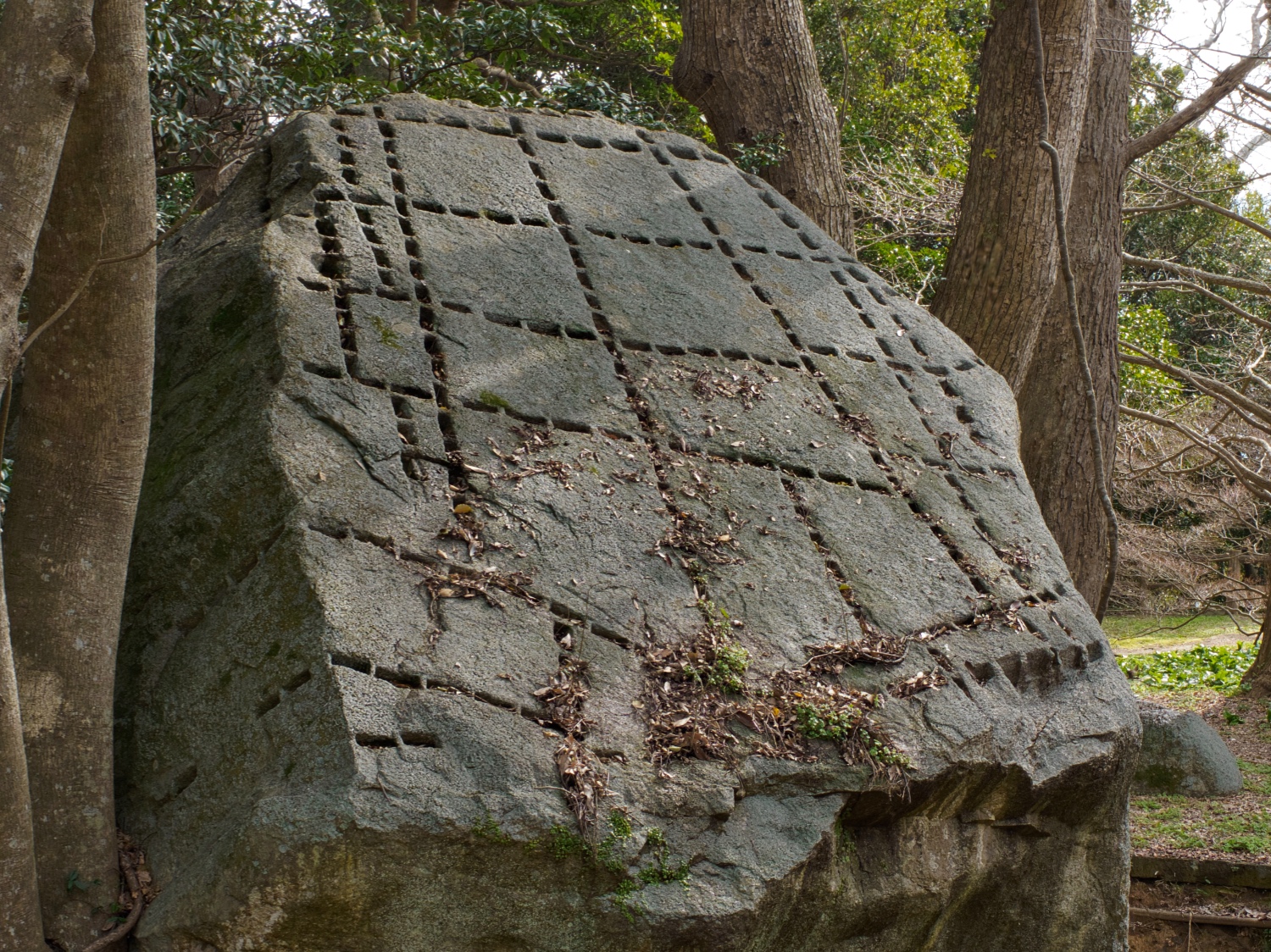 Hagicastleishikiri10.jpg