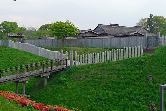 Nejo17.jpg