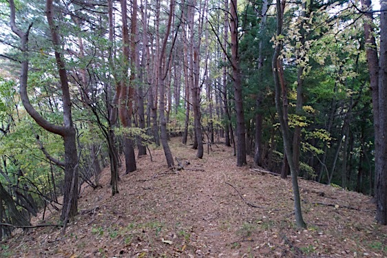 File:Yamabe40.jpg