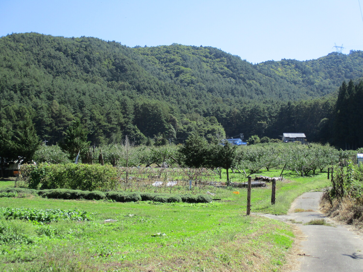 HoraYakata (3).JPG