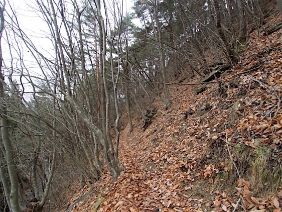File:Matsuoko2.jpg