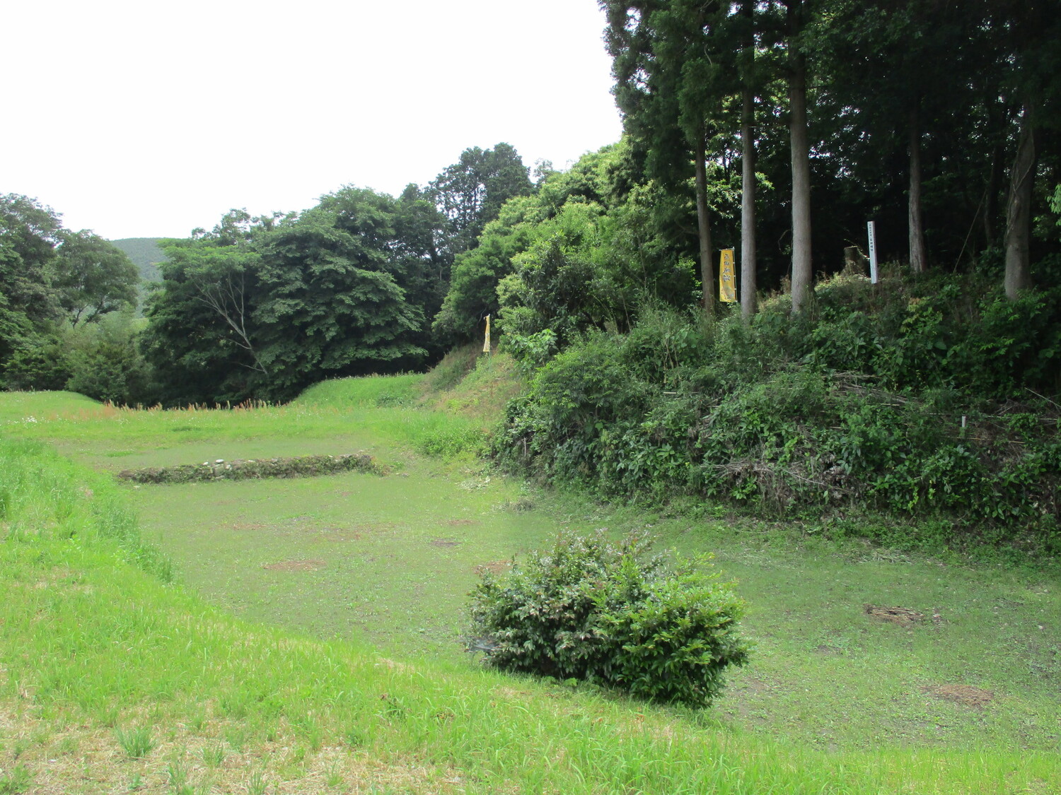MikawaIshidajou (1).JPG