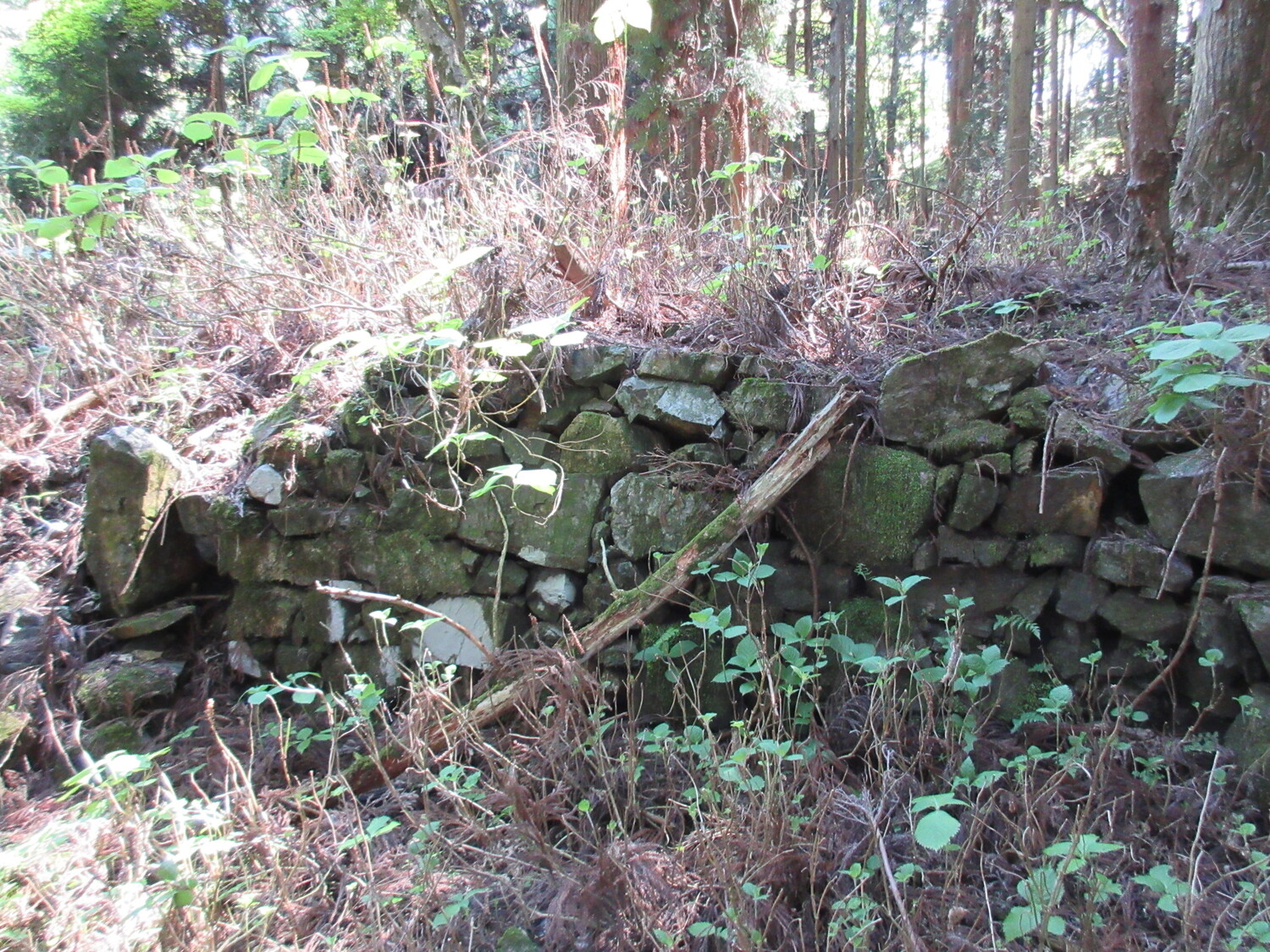 EnryakujiKitataniToride1.JPG