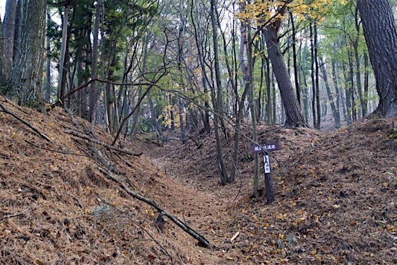 File:Haibara13.jpg
