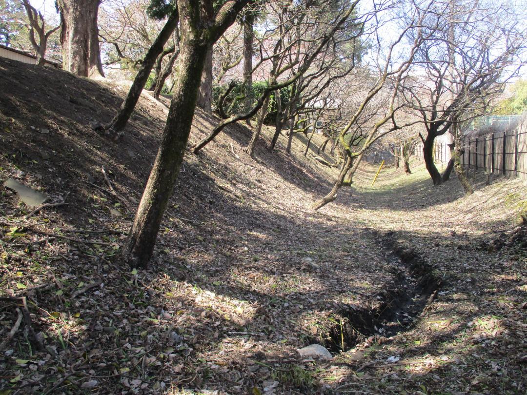 OchayaYashikiA (5).jpg