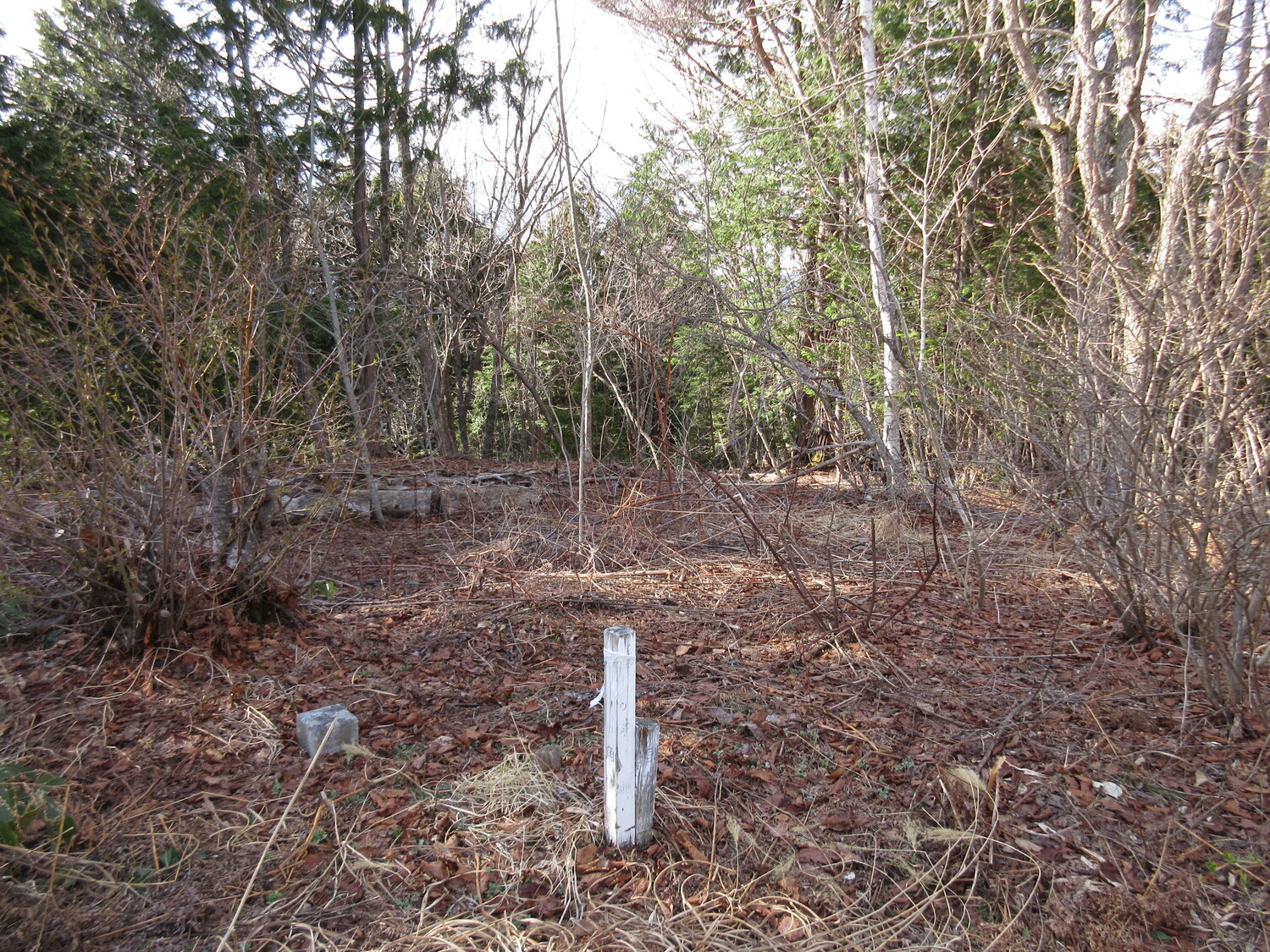 TougeyamaNoroshidai (1).JPG
