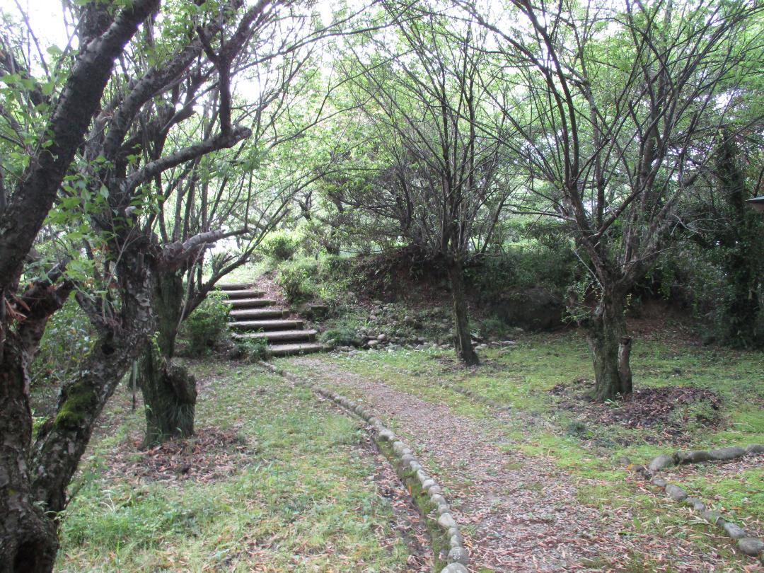 Kosemajou (3).jpg