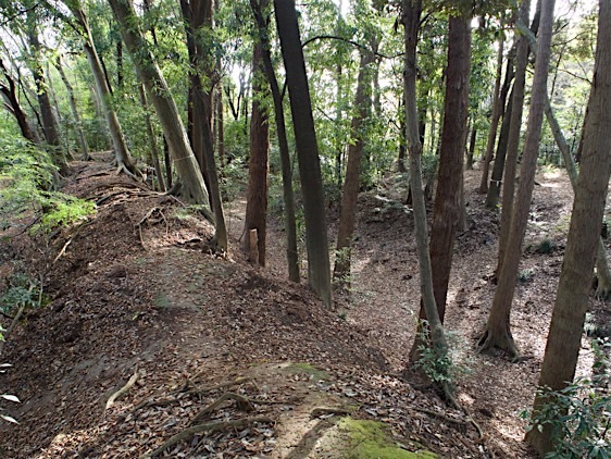 File:Masuo9.jpg