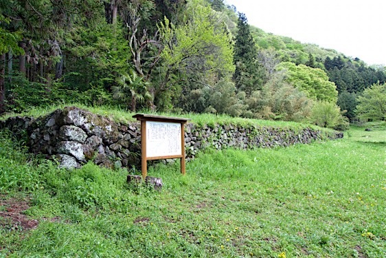 File:Seiryuin12.jpg