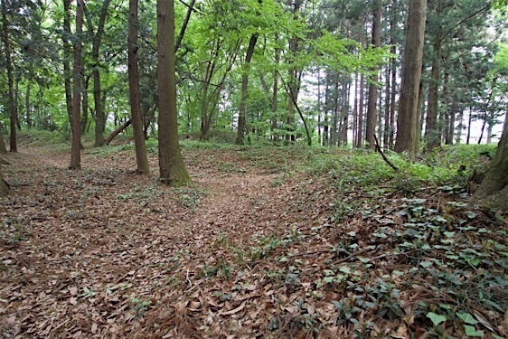 File:Zen17.jpg
