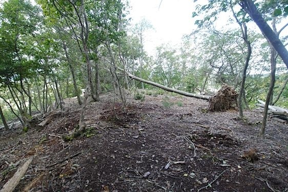 File:Konosumi17.jpg