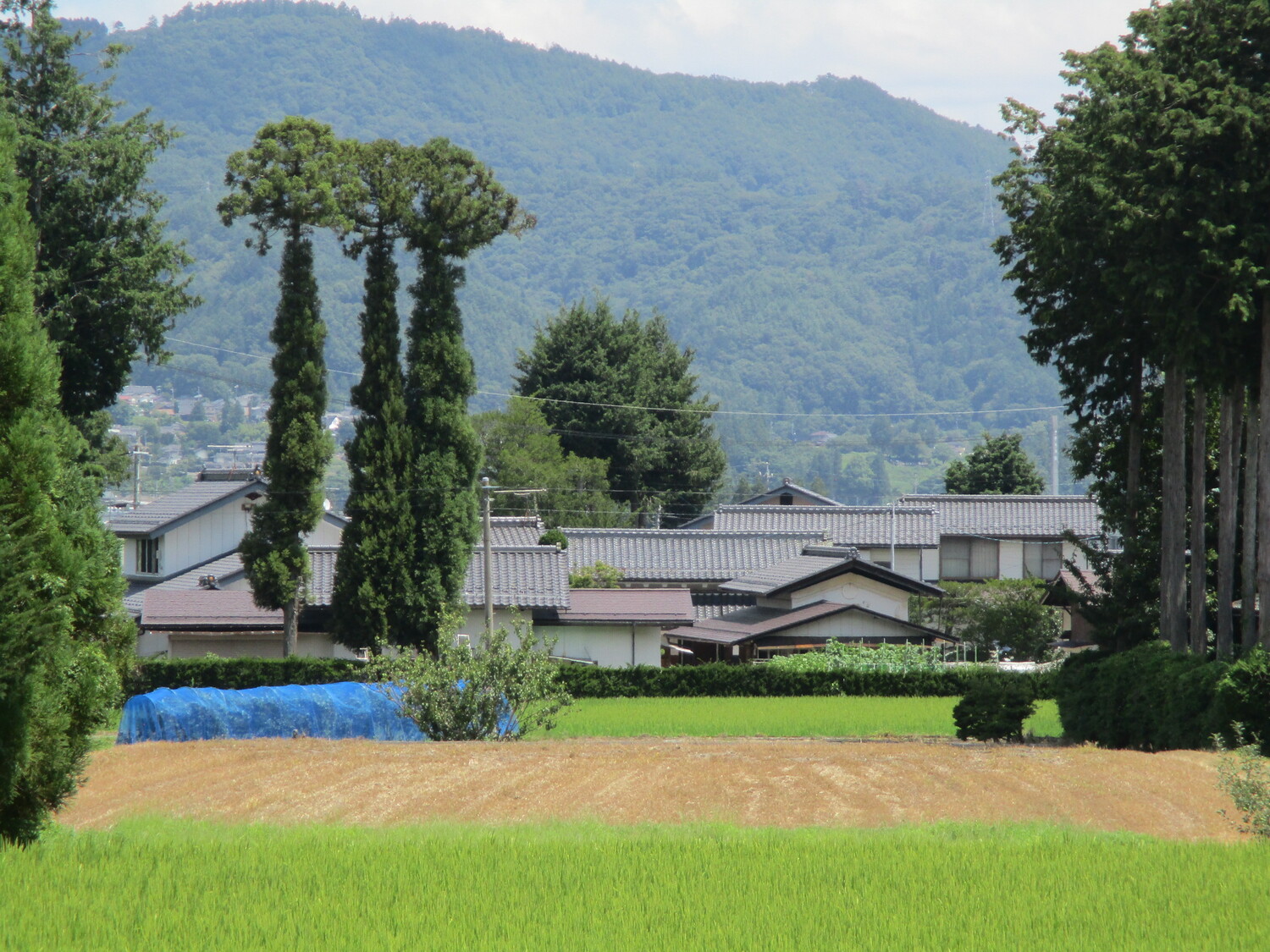 YaguchiYakata (1).JPG
