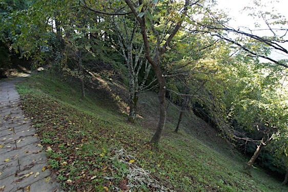 File:Sasao10.jpg