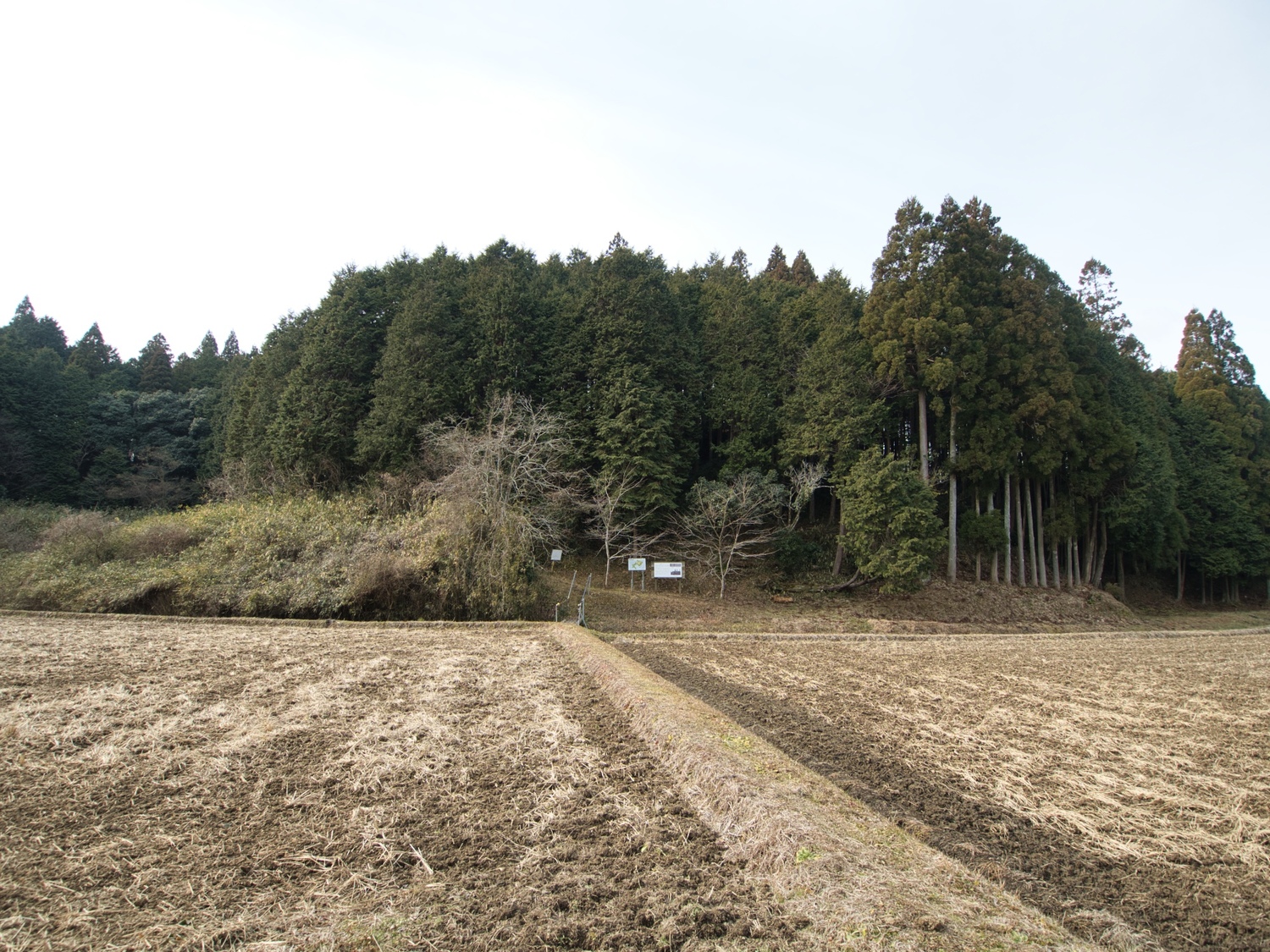 Wadakoka3.jpg