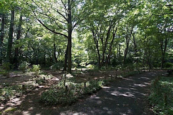File:Jindaiji8.jpg