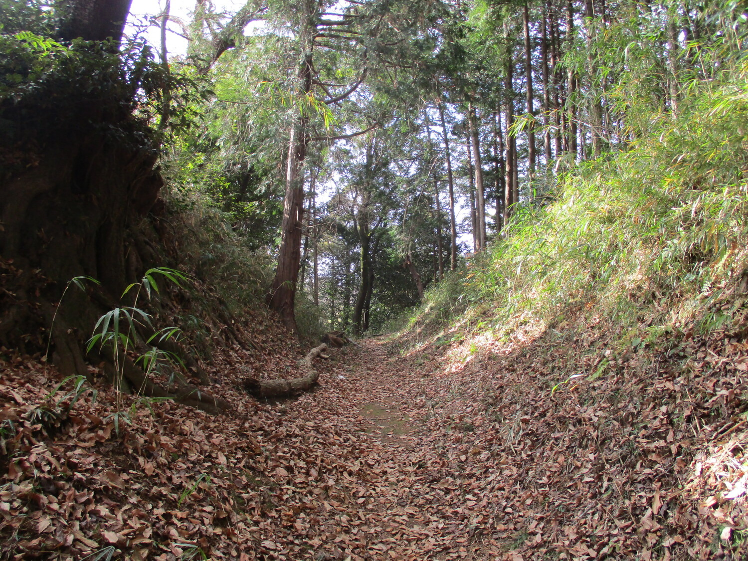 SurugaIsshikijou (1).JPG