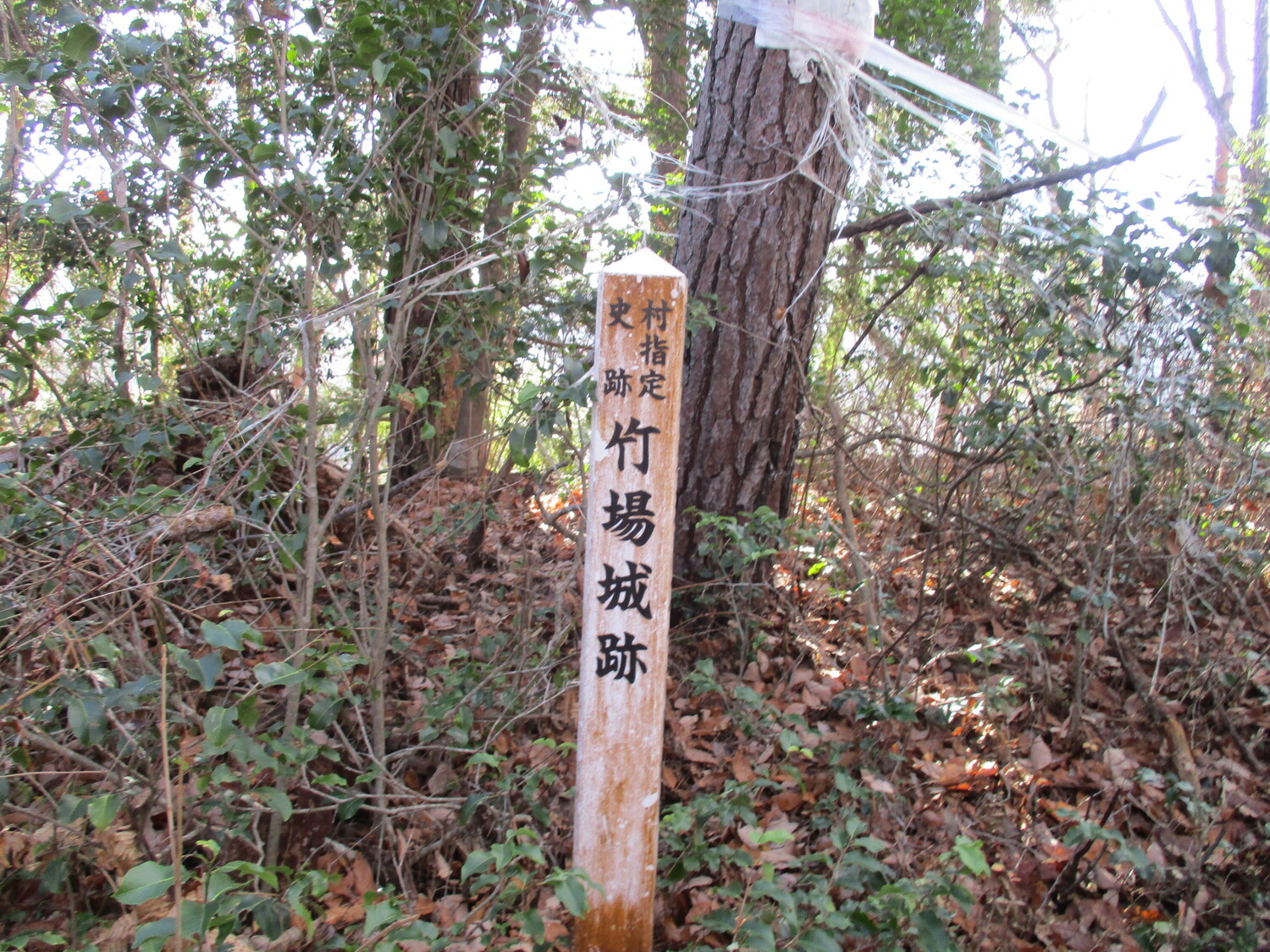 Takebajou (14).JPG