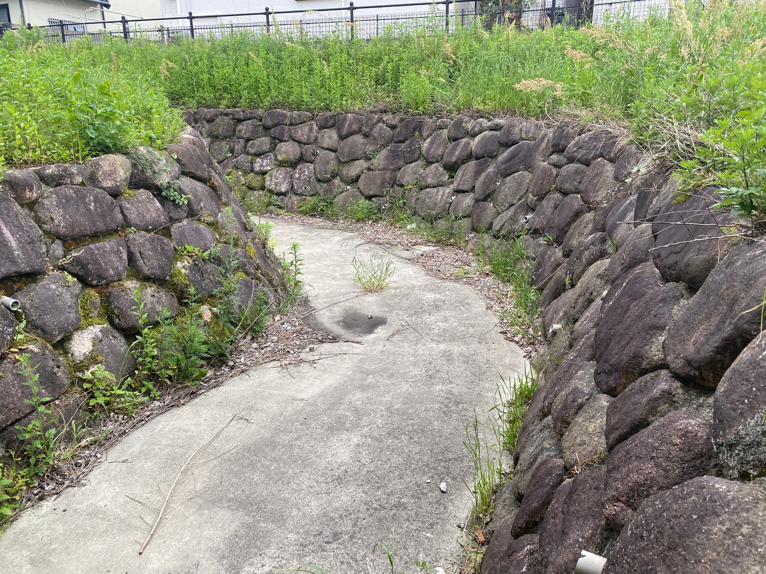 KomonojouChris (4).jpg