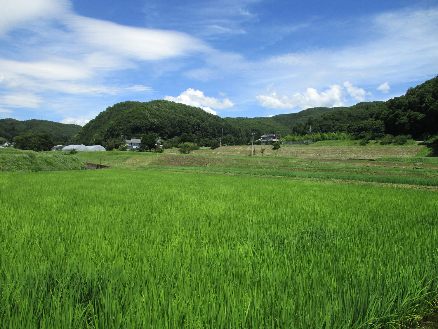 InaHorinouchiYakata (1).JPG