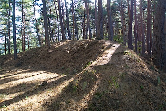 File:Hayashiko16.jpg