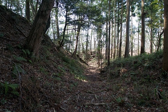 File:Mumo16.jpg